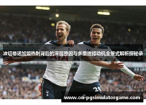 波切蒂诺加盟热刺背后的深层原因与多重选择动机全景式解析探秘录