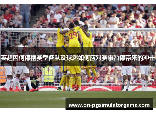 英超因何停摆赛季各队及球迷如何应对赛事暂停带来的冲击 英超因何停摆赛季各队及球迷如何应对赛事暂停带来的冲击
