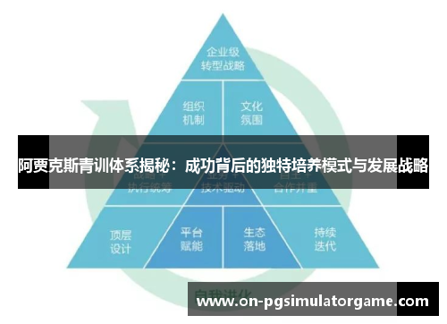 阿贾克斯青训体系揭秘：成功背后的独特培养模式与发展战略
