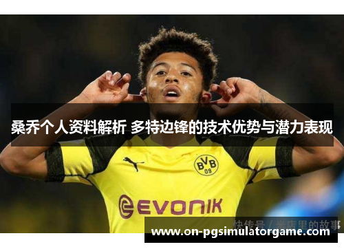 桑乔个人资料解析 多特边锋的技术优势与潜力表现
