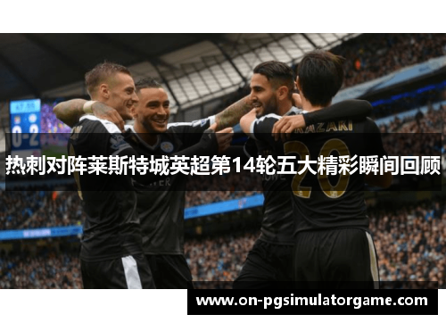 热刺对阵莱斯特城英超第14轮五大精彩瞬间回顾